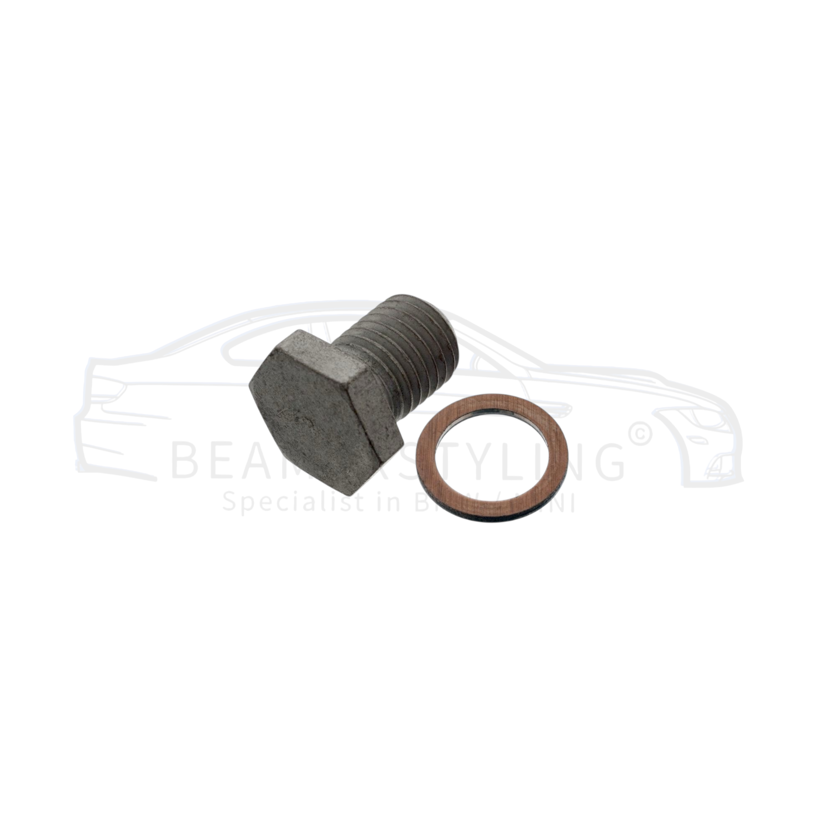 Oliebeurt set - BMW M52/M54 - Oliefilter + Carterplug M12x1,5 | Febi